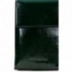 Bolsa de ombro feminina Hispanitas BI243529 Mini FOREST
